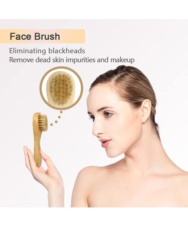 3-Piece Dry Brush Set for Cellulite & Lymphatic Massage | Natural Boar Bristles Exfoliating Body Brush with Long Handle, Face Brush & Cellulite Massager - Dead Skin Remover - Buy Online on GoSupps.com