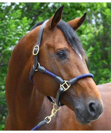 Buy PFIFF 102551 Leather Halter Lina - Dark Blue XFull | Premium Quality International Shipping - Buy Online on GoSupps.com
