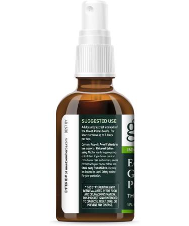 Gaia Herbs Echinacea Goldenseal Propolis Throat Spray 1 Fl Oz - Liquid Extract - Buy Online on GoSupps.com