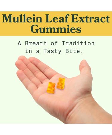 Mullein Gummies Mullein Gummies for Lungs Mullein Leaf Extract Mullein Leaf Herb Extract Lung Health and Sinus Relief (60pcs/1bag) - Buy Online on GoSupps.com
