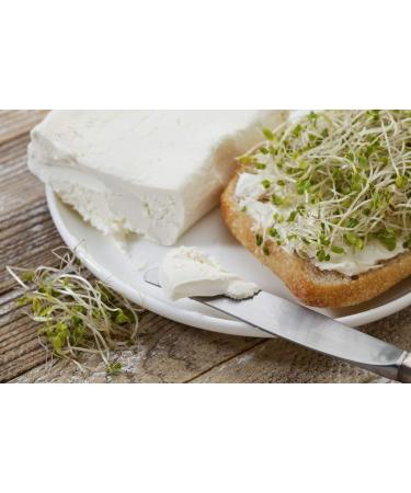 Cultures for Health Cream Cheese Starter Culture - Tangy Homemade Cream Cheese | Non-GMO, Gluten-Free | Perfect for Cakes and Frosting - Buy Online on GoSupps.com