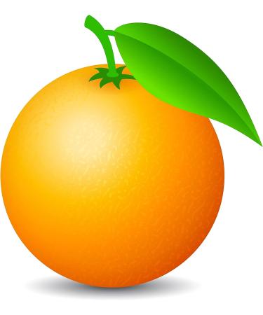 Essentially KateS 100% Pure Orange Oil 4 oz - Natural Essential Oil - Buy Online on GoSupps.com