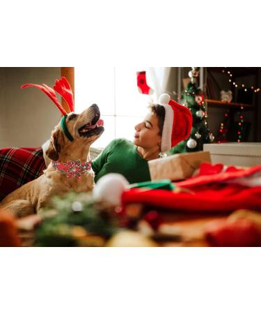 Christmas Dog Collar - ARING PET Adjustable Halis Band with Flower | XS Red Cotton Gift - Buy Online on GoSupps.com