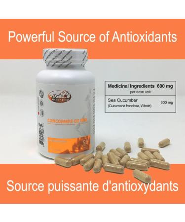 Arctica Food Sea Cucumber Capsule 600 mg 90 caps 1 - Buy Online on GoSupps.com