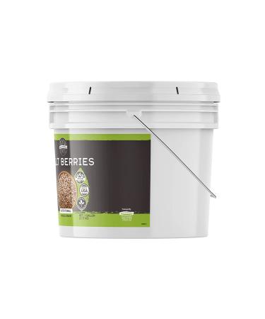 Birch & Meadow 1 Gallon Spelt Berries Dehulled - Non-GMO & Non-Irradiated - Buy Online on GoSupps.com