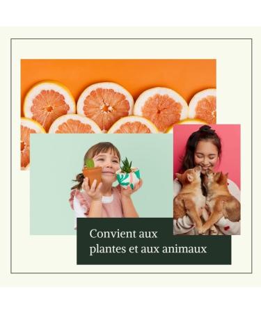 INOLAB Citrosant BIO - Certified Organic Grapefruit Seed Extract | 2 Packs of 50 ml or 100 ml - Buy Online on GoSupps.com