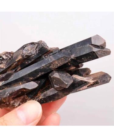 Natural Crystal Rough Natural Crystal 1pc 300g-1000g Natural Black Quartz Cluster Crystal Lucky Stone for Gift Power Stone Crystal (Color : 1pc 840g-930g) - Buy Online on GoSupps.com