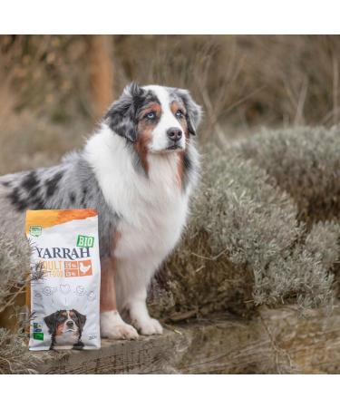 Pienso Para Perros Adultos Con Pollo Bio 2kg Yarrah - Buy Online on GoSupps.com