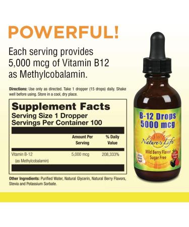 Nature's Life B-12 Drops Wild Berry 5000 mcg - 2 fl oz (60 ml) | Boost Energy & Metabolism - Buy Online on GoSupps.com