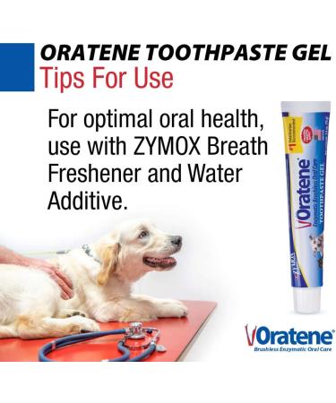 Oratene Brushless Toothpaste Gel for Dogs and Cats 2.5oz by Pet King Brands - Buy Online on GoSupps.com