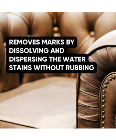 Geist Aniline Water Stain Remover | Effortlessly Dissolves Water Stains | 500 ml / 17 fl.oz - Fast International Shipping - Buy Online on GoSupps.com