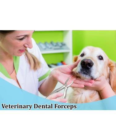 Tartar Remover Forceps for Dogs | Small Size 4 | Dental Vet Tool | A+ Quality Pet Care - Buy Online on GoSupps.com