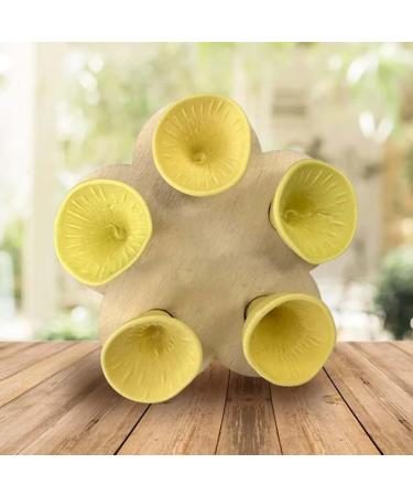 Colorful Bee Insect Drinking Cup Bee Insect Drinking Cup Thirsty Pollinators Need a Drink Bee Cups for Thirsty Bees Garden Bees Need Safe Places to Drink for Garden Decor (Yellow