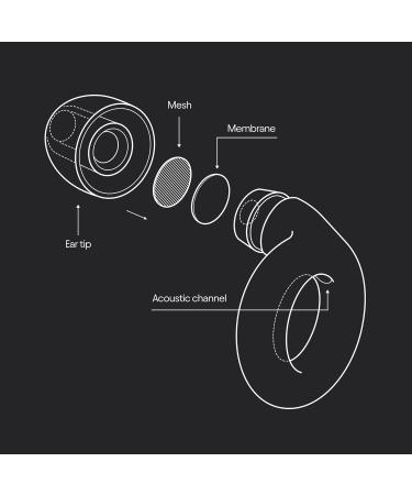 Loop Experience Equinox Earplugs - High-Fidelity Reusable Earplugs for Music & Events - Colourful Hearing Protection with Customizable Fit - 18 dB Noise Reduction - Buy Online on GoSupps.com