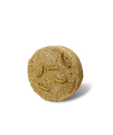 JR FARM Garden PRing Peanut Butter Mealworms 250g - Buy Online on GoSupps.com