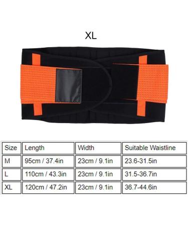 VVHuda Waist Support Belt - Breathable & Adjustable Posture Correction for Men & Women | Spine Support & Comfort Fitness - Buy Online on GoSupps.com