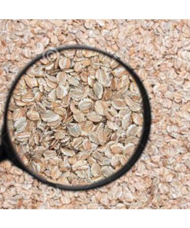 Premium Head Magnifier Hands Free Headband Magnifying Glass Jeweler's Loupe Bracket and Headband Great Performance Small Gift - Buy Online on GoSupps.com