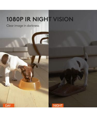 GULIGULI Smart Pet Camera: 1080P Full HD WiFi, Night Vision, 2-Way Audio, No Monthly Fee | Dog Treat Camera & Movable Companion Robot for Pets | Phone App Controlled (2.4G WiFi ONLY) - Buy Online on GoSupps.com