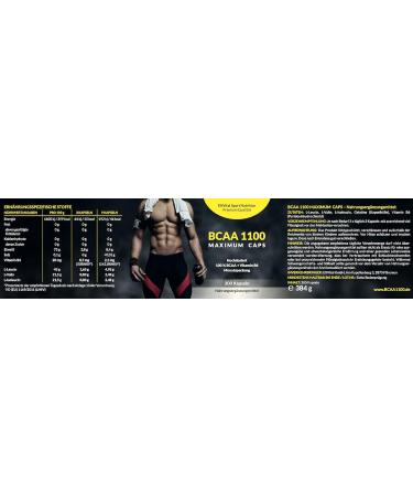 EXVital BCAA 1100 Maximum Caps - 300 High-Quality Amino Acid Capsules with Vitamin B6 | International Shipping Available - Buy Online on GoSupps.com