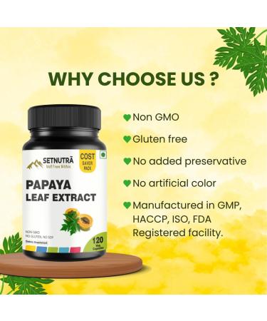 SETNUTRA Well From Within Papaya Leaf Capsules 500Mg Natural Papaya Leaf Extract 120 Vegan Capsules Non GMO Gluten Free Herbal Supplement No Fillers Or Additives - Buy Online on GoSupps.com