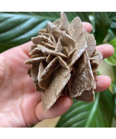 Natural Magic Natural Desert Rose Raw Stone Crystal Home Office Specimen Gift ZJGIDTEM (Size : 210-250g) - Buy Online on GoSupps.com