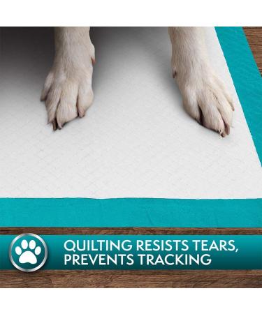 Simple Solution Extra Large Puppy Training Pads | 6-Layer Dog Pee Pads | Absorbs 7 Cups | 28x30 Inches 50ct - Buy Online on GoSupps.com