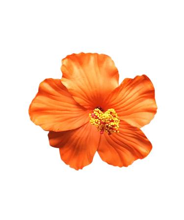 Flowers hair clip hair clip flowers multi -colored roses hairdresses hair jewelry for girls women party beach wedding (orange one size) 1 piece (1 Pack) orange