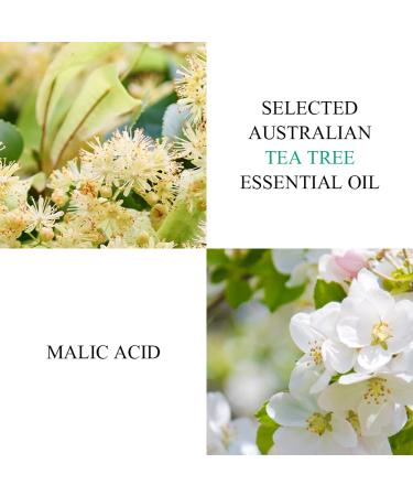 Breylee Blackhead Mask with Tea Tree Oil for Deep Cleansing - 100 Pcs Strip Paper Included - Buy Online on GoSupps.com