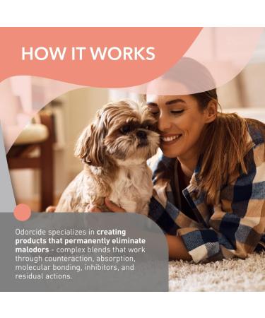 Duralast Peach Blossom Odor Eliminator Concentrate | Strong Odor Neutralizer for Carpet Floors & Home | Smoke Sweat & Pet Odor Removal (1 Gal - Buy Online on GoSupps.com