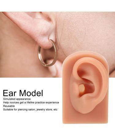 3D Silicone Ear Model for Piercing Practice - Dark Skin Color | Soft Ear Display for Earrings & Acupuncture Tools (Left) - Buy Online on GoSupps.com