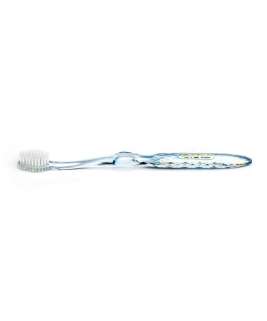 Antibacterial toothbrush with silver bristles and blue handle