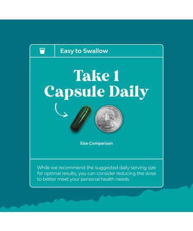 Chlorophyll Capsules for Cleanse and Detox Support - Internal Deodorant Pills for Body Odor with Mint & Parsley Extract Healthy Skin Immunity & Digestive Support - Vegan Non-GMO & Gluten Free (60ct) Capsules 60 Count (Pack  - Buy Online on GoSupps.com