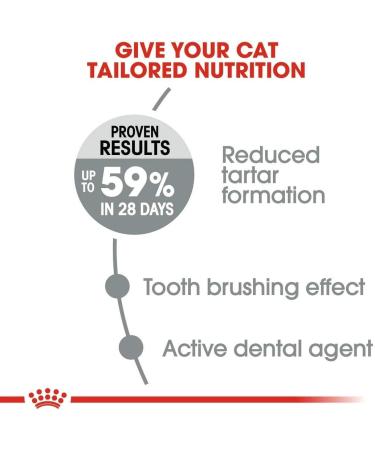 Royal Canin Dental Care Dry Cat Food 8kg Oral Care 8 kg (Pack of 1) - Buy Online on GoSupps.com