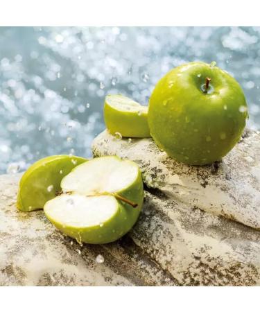 Dolce & Gabbana Light Blue Eau De Toilette Spray For Women 3.3 Fl Oz (Pack of 1) - Buy Online on GoSupps.com