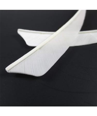 Letszhu Archery Arrows Feather Fletching 4 Real Turkey Vanes - 25 Pack White - Buy Online on GoSupps.com