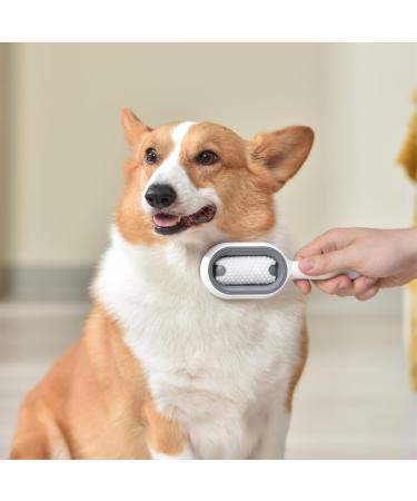 2-Piece Animal Hair Removal Comb Set | 4-in-1 Cat Brush with Water Tank | Multifunctional Pet Cleaning & Massaging Brush - Blue & Pink - Buy Online on GoSupps.com