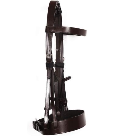 Pets2Care PLAIN HUNTER BRIDLE BROWN WITH 2" NOSEBAND & 1" BROWBAND PREMIUM QUALITY (FULL) - Buy Online on GoSupps.com