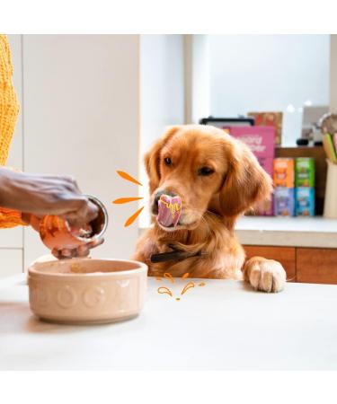 Edgard & Cooper Grain-Free Adult Dog Pate Box Natural Food Fresh Chicken and Turkey Healthy Tasty and Balanced Diet Pro -400g - Buy Online on GoSupps.com