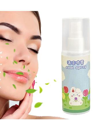Cool Down Spray | 80ml Body Cool Down Spray - Refreshing Protective Skin-friendly Spray Instantly Reduce Temperature Small And Lightweight Spray For Face And Body rabbit