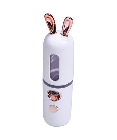RIYAN Portable Face Bottle Nano Steamer Face Sprayer 30Ml Face Beauty Instruments(White)