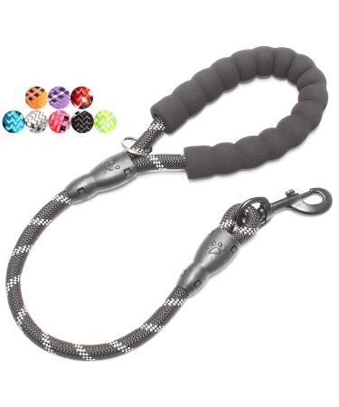 BAAPET 2/4/5/6 FT Strong Dog Leash with Comfortable Padded Handle and Highly Reflective Threads for Small Medium and Large Dogs