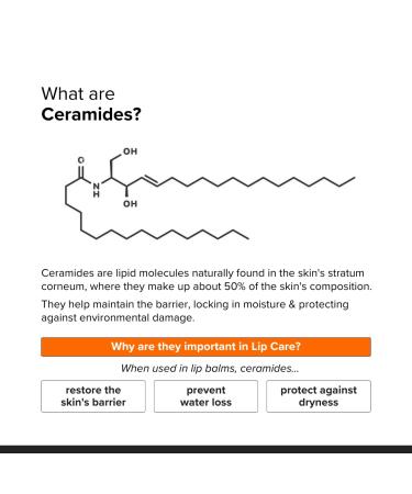 Minimalist Ceramide Lip Balm | With Hyaluronic Acid to Hydrate & Repair Chapped Lips | Provides Protection from the Sun | 0.28 Oz / 8 gm - Buy Online on GoSupps.com