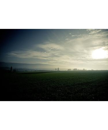 Country Coffee Trial Package - Central America | 5 x 500g Whole Beans from Honduras Guatemala Mexico Costa Rica & Nicaragua - Buy Now! - Buy Online on GoSupps.com