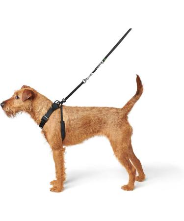 HUNTER Training & Education Harness - Side by Side - Black (39-51 cm) | International Shipping Available - Buy Online on GoSupps.com