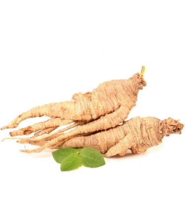 Organic White Ginseng Powder 25 servings 50 g White Ginseng Powder Adaptogen Energy Vitality Anti-Fatigue Nervous Balance Libido - Buy Online on GoSupps.com
