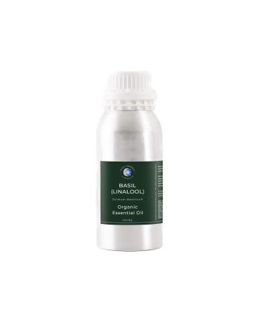 Mystic Moments - Basil (Linalool) Organic Essential Oil - 500 g - 100% Pure