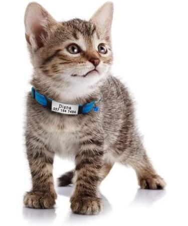 Didog Reflective Cat Neck Band - Stainless Steel Engraving for Kittens Cats & Small Dogs - No Noise ID Tag - XXS Size (14-20cm) - Blue - Buy Online on GoSupps.com