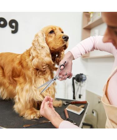 Buy Purple Dragon Dog Shears - 7 Professional Straight Fur Scissors for Dogs & Cats | Japanstahl-440c | Ideal for Groomers & Beginners - Buy Online on GoSupps.com