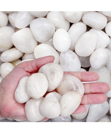 LONTOM 2.2lb White Pebbles Natural Decorative Stone Polished Gravel River Rocks for Plants Home DIY Decor Aquarium Gravel Vase Fillers Fairy Garden Landscaping Outdoor Stones
