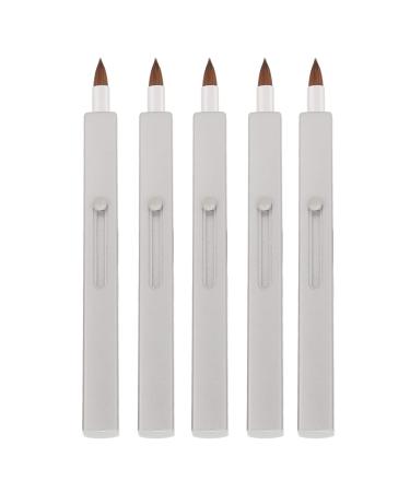 5Pcs Ended Retractable Lip Brush Lip Brushes for Lip Stick Liquid Lipstick Liquid Blush Lipgloss Lip Plumping Lip Gloss Lip Care Serum Lip Liner Pens